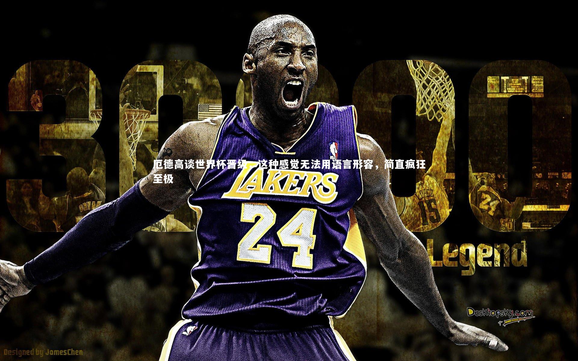 厄德高谈世界杯晋级，这种感觉无法用语言形容，简直疯狂至极